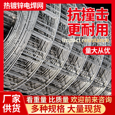 热镀锌铁丝网围栏电焊网片网格养殖网小孔钢丝防护栏网防鼠网家用