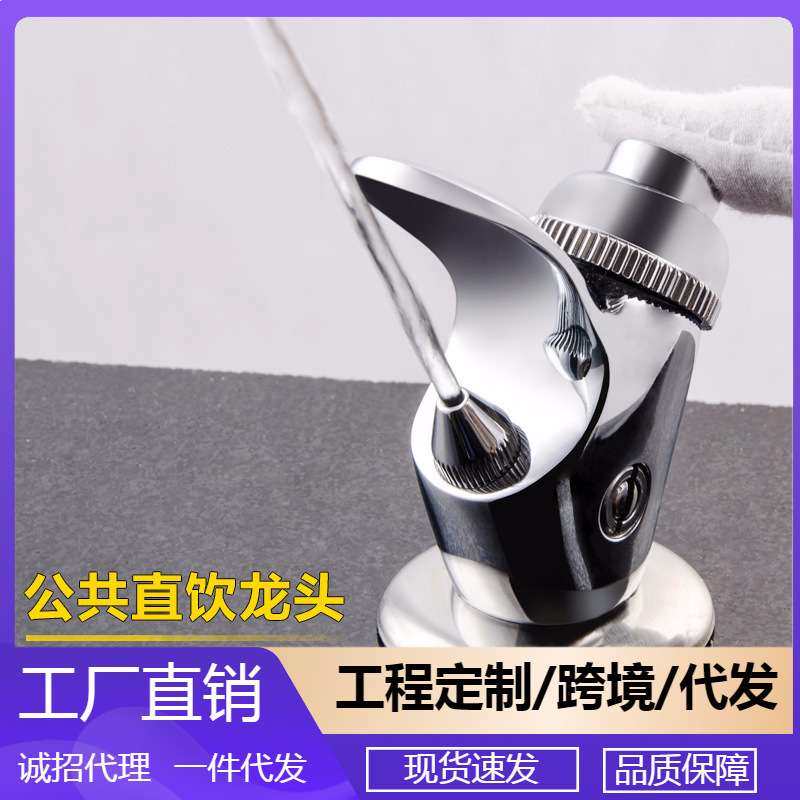 公园户外全铜直饮延时水台龙头按压手压式出水嘴按钮喷水直饮