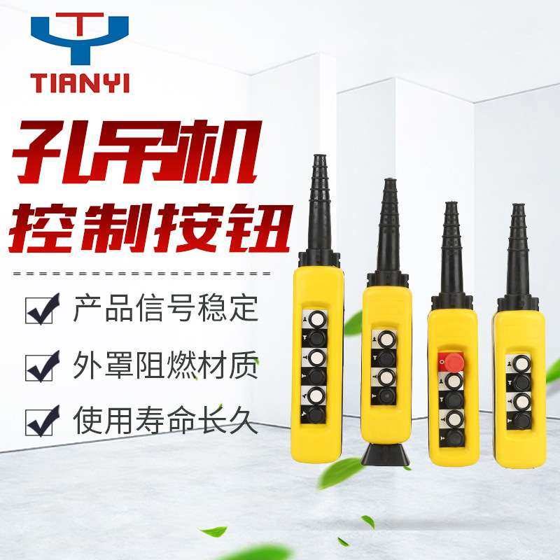 天逸XACA无线防雨型起重控制开关 单双速急停开关控制按钮