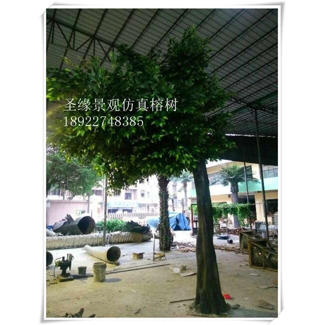 假树仿真榕树仿真大型造型榕树装饰客厅大厅玻璃钢实木树干仿真树
