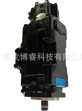 销普拉塞.陶依尔PT双联油泵HY831*38.17LI HY72SX31L HY90N33N/02