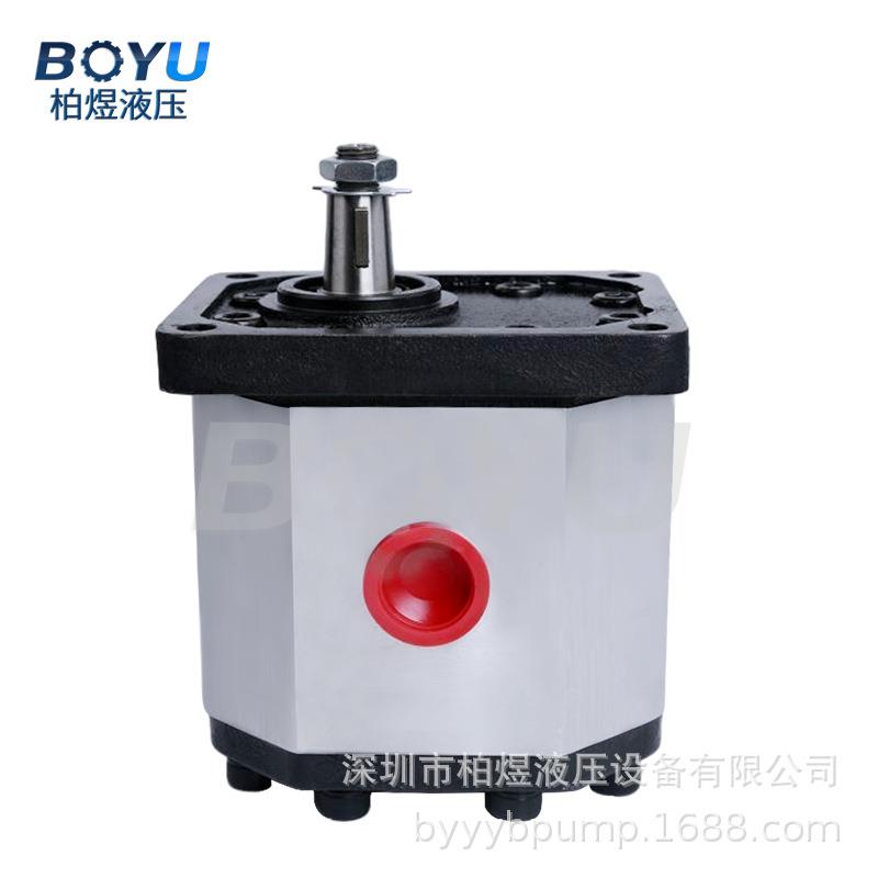 意大利罗茨齿轮泵03ZAG45C064D用于工业制作业直发售后快