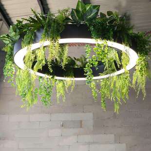 东南亚森系环形植物吊灯休闲区办公区前台商铺餐厅展厅灯具