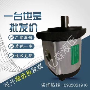 罗茨RONZIO液压齿轮泵02ZCG06L434D 02ZCG17N435D0N 02ZAG04E032D