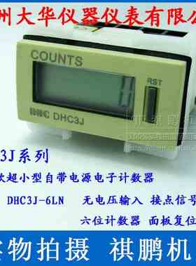 温州大华累计计数器 COUNTS DHC DHC3J-6L 6VL 6AL 新款6位计数器