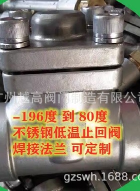 DH61F-40P不锈钢低温止回阀液氧液氮液氩LNG低温止回阀单向阀