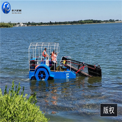 水浮莲收割船厂家 杭州清理河中水草 盐城清理打捞河中水草的工具
