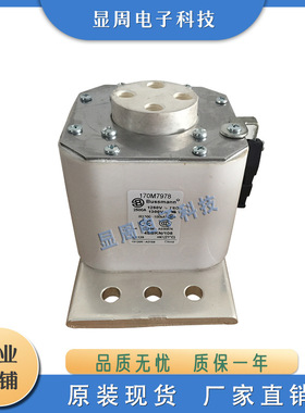 全新保险丝熔断器170M7963 170M7969 170M7975 170M7978 170M7982