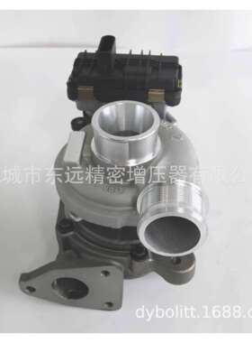 GTC1446VZ848184-0002大通国五1.9T