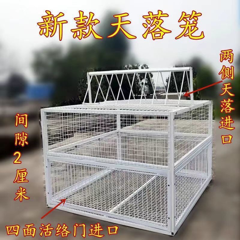 捕全自动鸽鸟野鸽子神器笼天落收笼补楼顶抓户外只进逮不出外鸽野