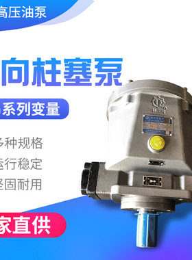 QGM-RP系列液压泵高压油泵精工牌启东高压对标HY系列轴向柱塞泵