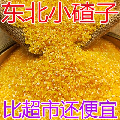 2025年细玉米糁新货小粒苞谷糁陕西玉米碴子渣子脱皮玉米碎玉米粒