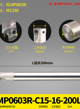 快进给双面铣刀杆BLMP0603R/TEBL06特固克 BLMP0603R刀片开粗铣面