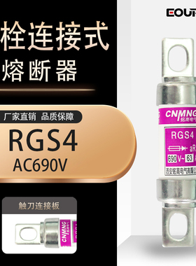 熔断器RGS4 660/690V100A125A 150A 160A 200A 660GH快速熔断器