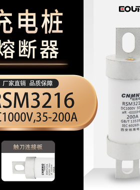 新能源充电桩熔断器RSM3216750V100-200A陶瓷熔管50KA 32X116直流