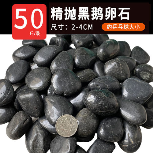 50斤黑色鹅卵石庭院园林造景铺路铺地大小石头天然雨花石原石黑石