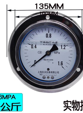 YNBF100ZT 0-1.6MPA 轴向304不锈钢耐震压力表 轴向带边