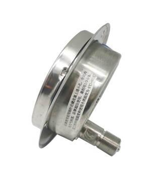 304轴向带边全不锈钢耐震压力表 蒸汽表水压表气压油压YNBF100ZT