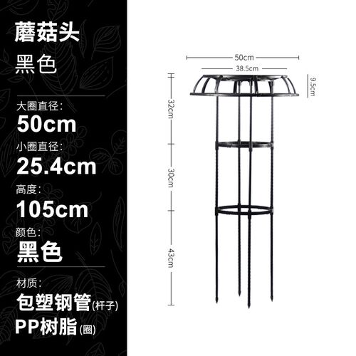 园艺植物爬藤架月季铁线莲蔷薇攀爬伞形花架绿植花卉支撑杆固定架