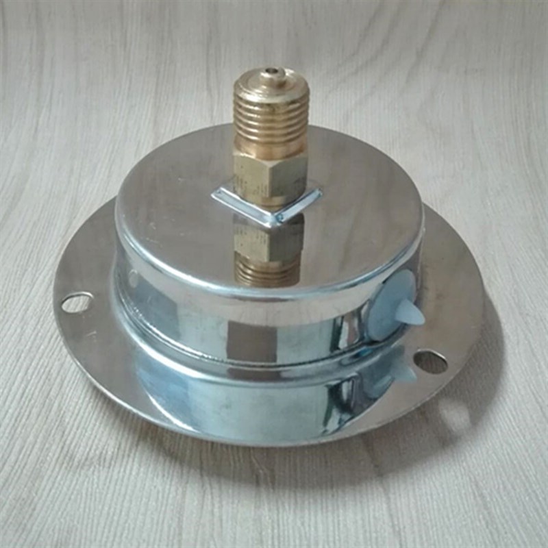 雷尔达仪表 耐震压力表YTN-60ZT轴向带边表YN-60ZT充油表03820307