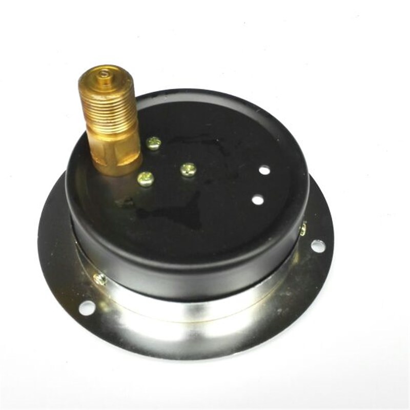 轴向带边压力表 100mm 压力0-1.6mpa 型号Y-100ZT 上海仪川仪表