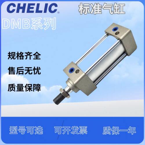 2/0B标准B21050//0/040D3/6-2-10可气850-DM20/立75DM3-0150-气缸