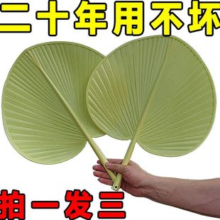 防摔扇子夏季 坏 家用家用塑料老式 加大手摇加厚扇子扇子大蒲扇新款