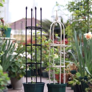 昙花架子支架固定花托架花卉专用架爬藤植物支撑杆月季防倒铁线莲