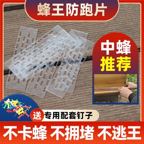 塑料蜂王防逃片中蜂专用蜜蜂箱巢门防跑片可裁剪圆桶格子箱防逃器
