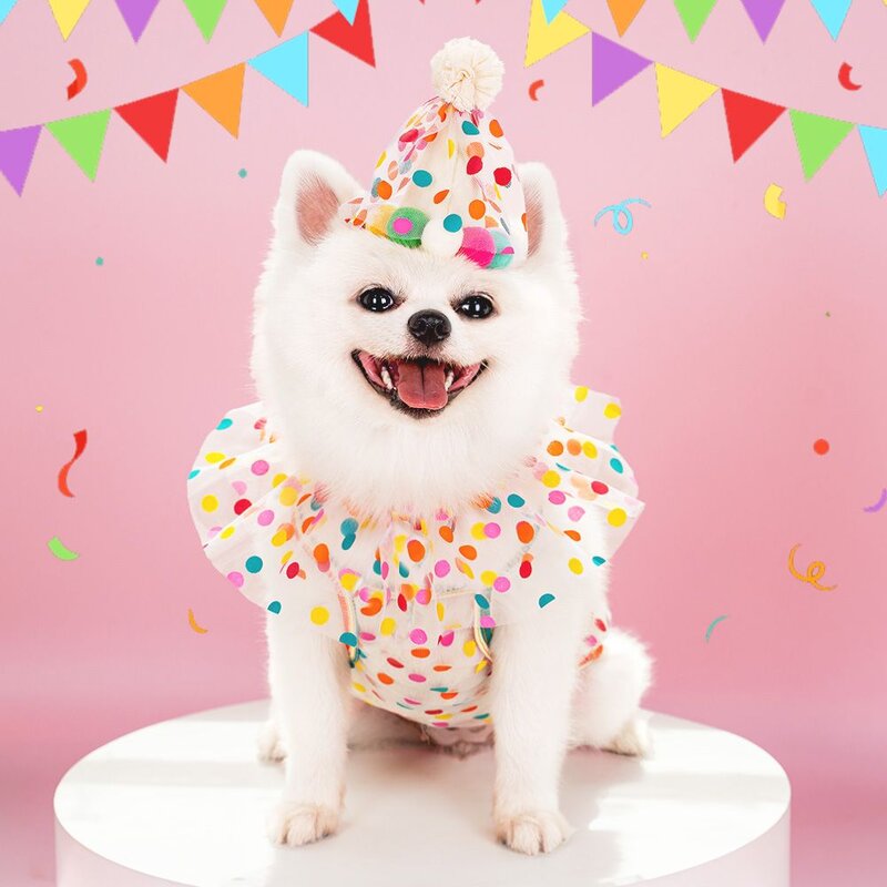 猫咪狗狗韩式波点彩色圆点围兜INS生日项圈宠物花边头饰