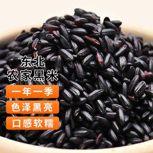 一把锄头东北黑米2025年新米杂粮正宗香米五谷粗粮糙米饭团粥5斤