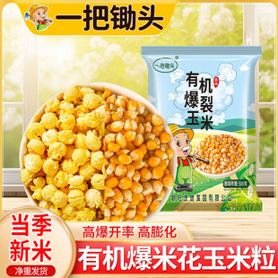 一把锄头【有机】爆米花玉米粒自制球形小玉米爆米花专用玉米粒