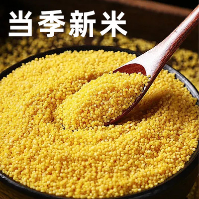 有机黄小米新米5斤装东北粗粮