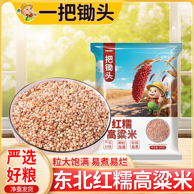 一把锄头5斤红糯高粱米净重正宗东北黑山农家白高粱米壳250g