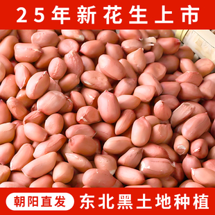 一把锄头东北2025年新花生米生的白沙家用花生仁大批发粉红皮去壳