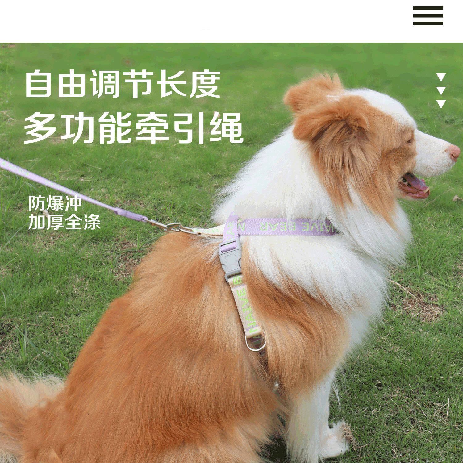 柯基金毛小型犬宠物背心式胸背带遛狗绳防勒脖狗狗牵引链子