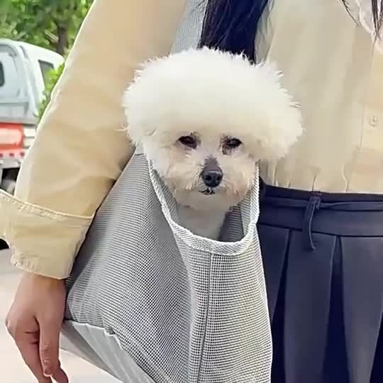 宠物外出包猫包狗狗便携中大号背包折叠袋子猫咪小型犬通用