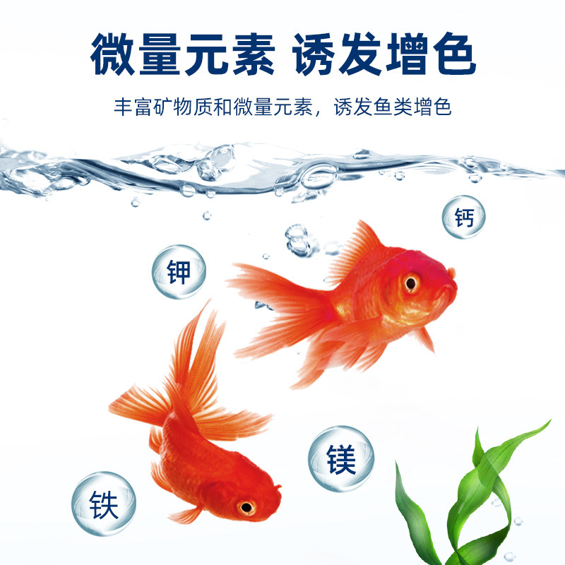 极速鱼缸过滤材料陶瓷p环细菌屋净水纳米培菌环水族魔方石英球鱼,宠物/宠物食品及用品,过滤设备,淘宝优惠券,粉丝福利购,淘宝优惠卷