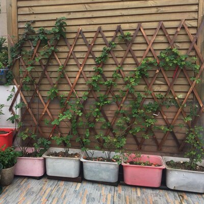 Enclosure Bamboo nFence Fence / Decoration Metope Vine Flowe