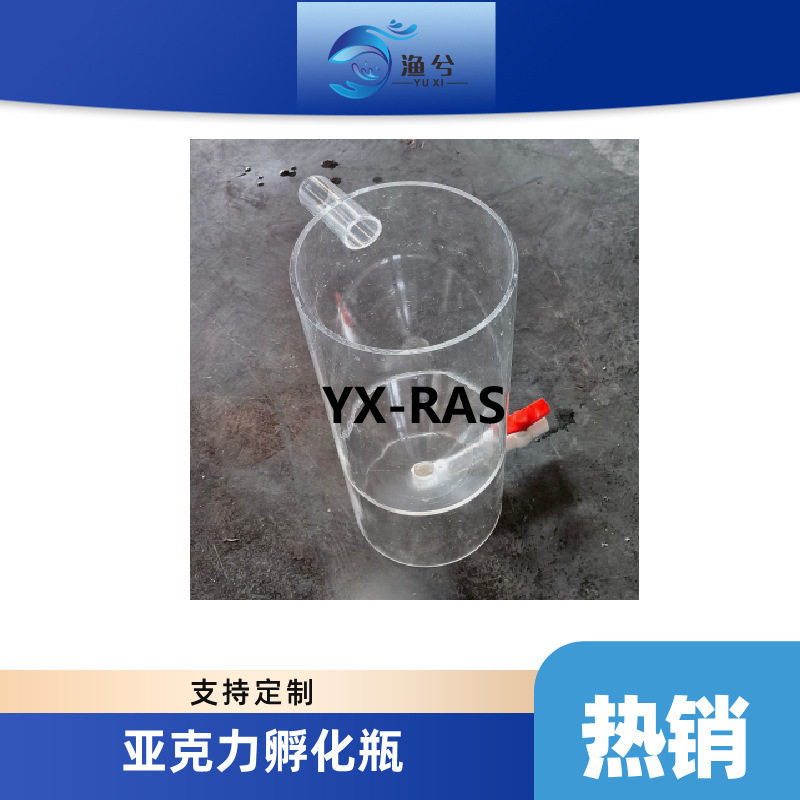 透明有机玻璃培藻桶亚克力藻培桶丰年虫孵化桶大学实验孵化瓶