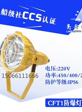 上海亮舟 船用防爆投光灯CFT1铝质铜质网罩IP56带镇流器400W/450W