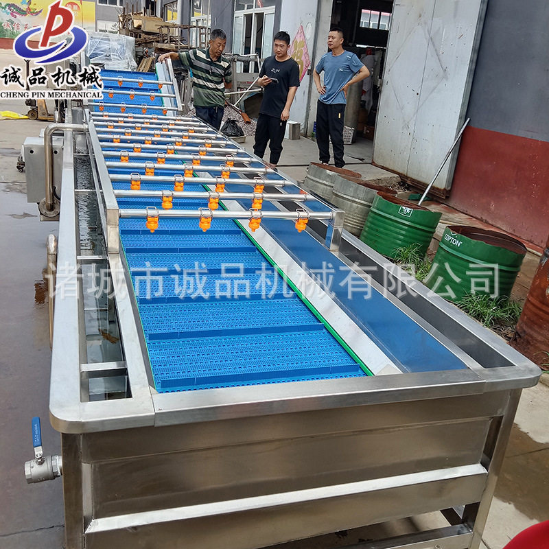 小油菜菠菜气泡清洗机商用茼蒿油麦菜清洗设备芹菜气泡清洗机