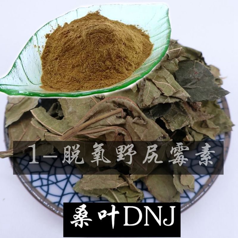 桑叶DNJ 桑叶粉 1%-10% 1-脱氧野尻霉素  厂家现货  三证齐全直销