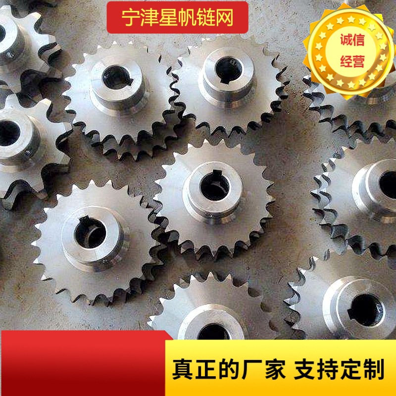 厂价供应双节距链轮食品生产线网链网带传动配件不锈钢304链轮