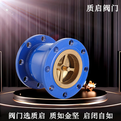 泉州质启消声止回阀管道单向阀法兰立式水管逆止阀HC41X-16止回阀