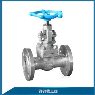 锻钢截止阀单向蒸汽截止阀 直通式 304不锈钢法兰截止阀J41H 16P