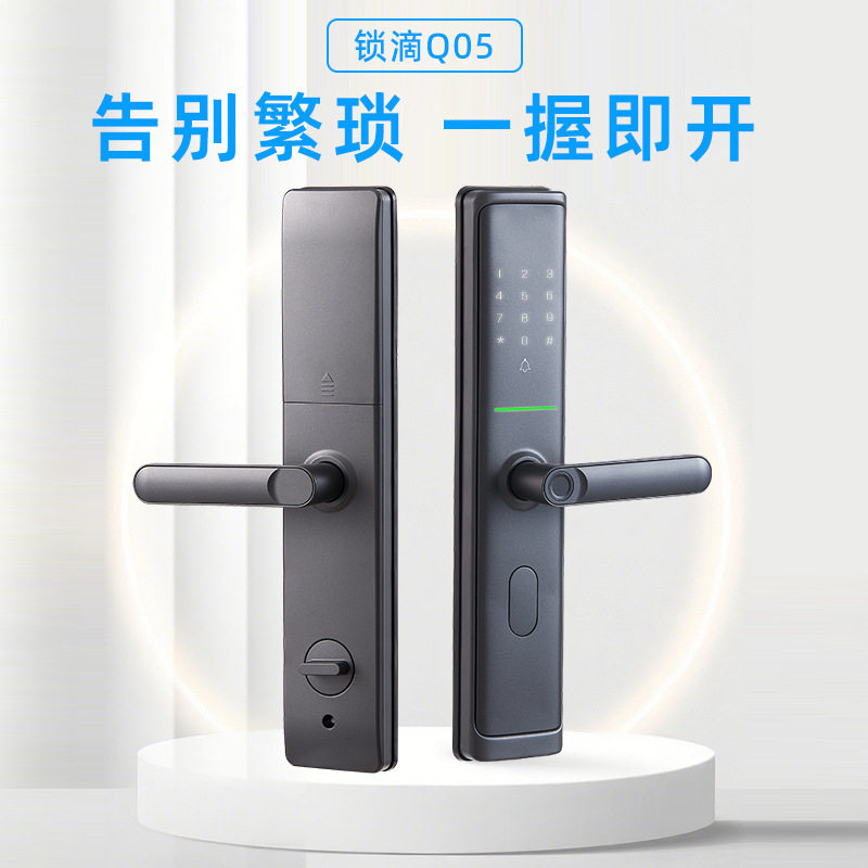 智能门锁民宿专用办公室宿舍家用防盗门锁磁卡锁门锁指纹门锁