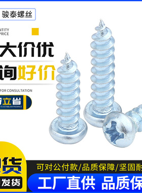 镀蓝锌加硬盘头螺钉PA圆头十字自攻螺丝M3M4M5M6*x6x8x10x20x60mm
