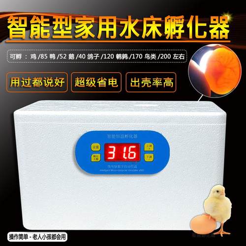 智能孵化器小型家用孵化机全自动智能鸡鸭鹅鸽蛋保温箱水床孵蛋器