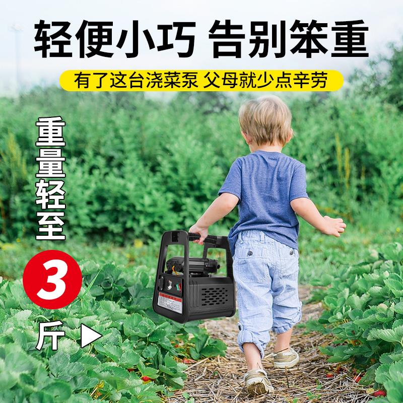 小型充电式抽水泵家用浇菜神器浇水机农用浇地户外田园灌溉抽水机